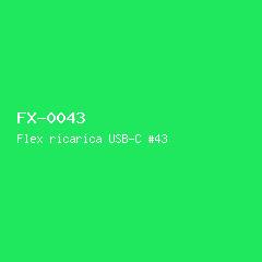 Flex ricarica USB-C #43
